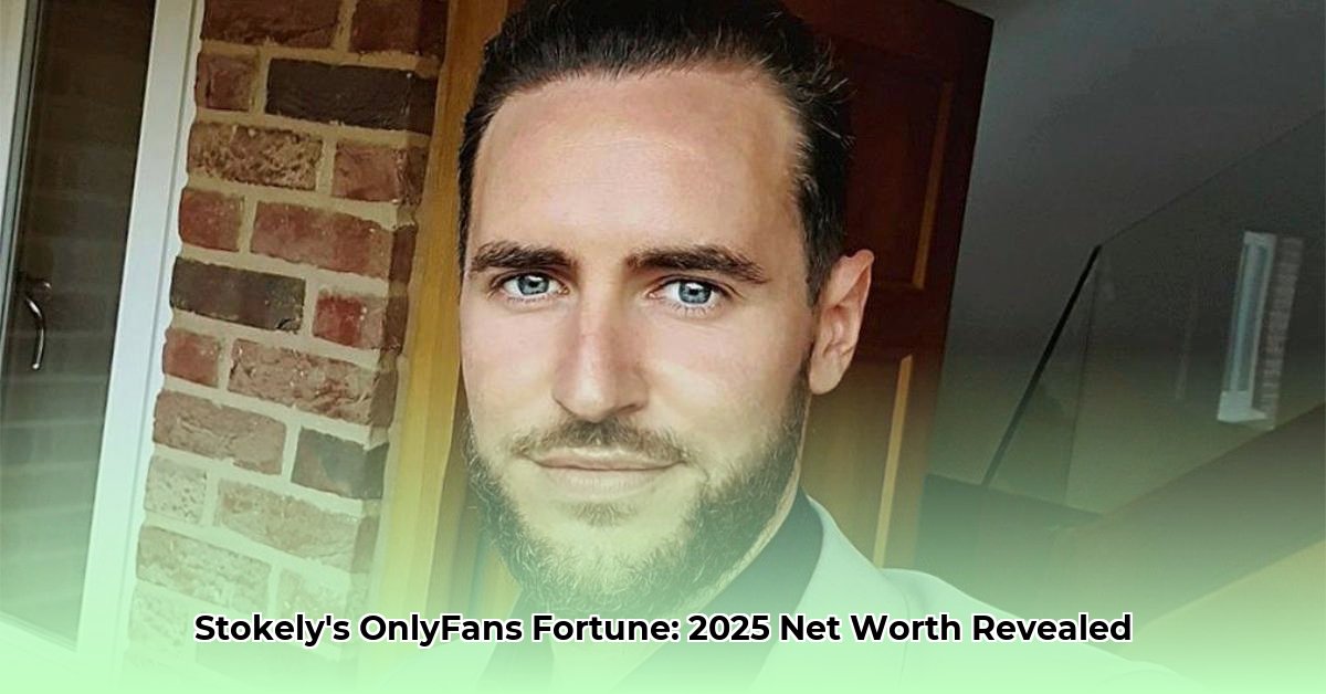 tim-stokely-net-worth